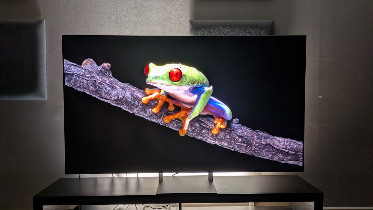 Sony Bravia 7 II with a shot of a colorful frog on screen