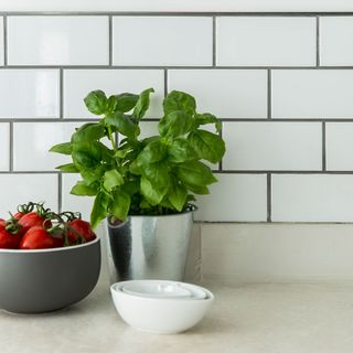 kitchen area with white wall tiles and vegetable with bowls