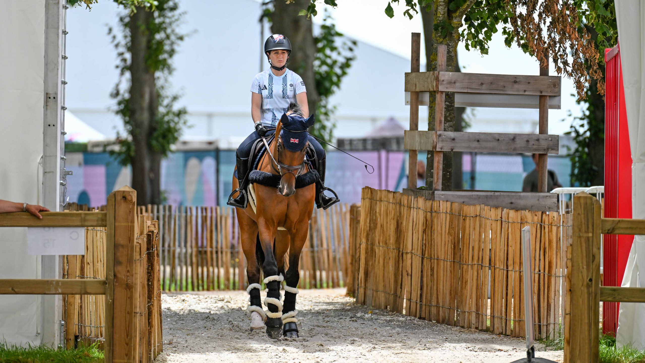 British Olympic event horses: London 52