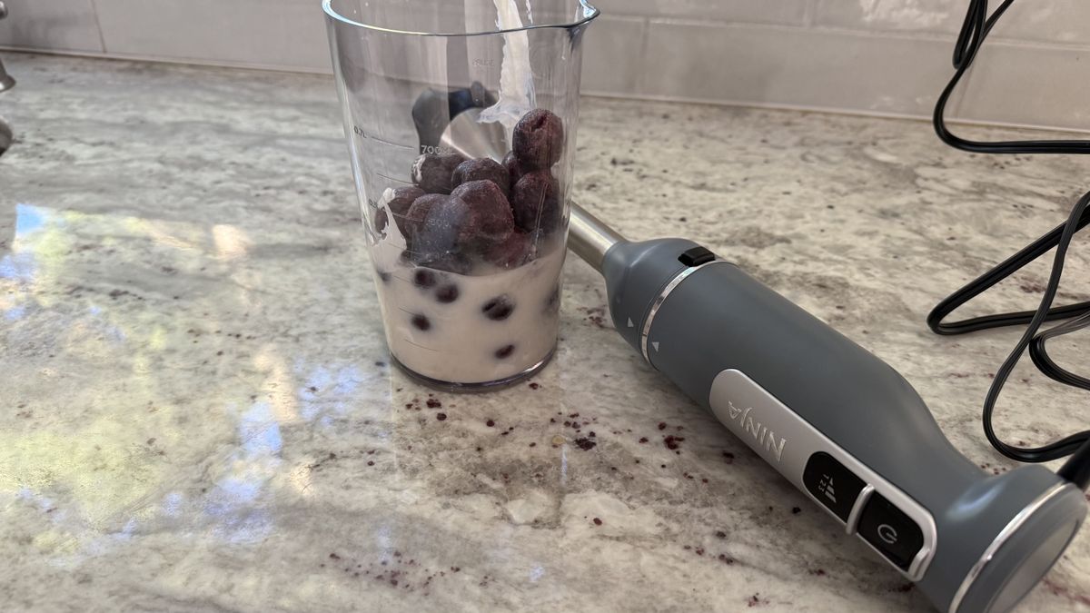 Ninja Power Duo Immersion Blender with Whisk making smoothies