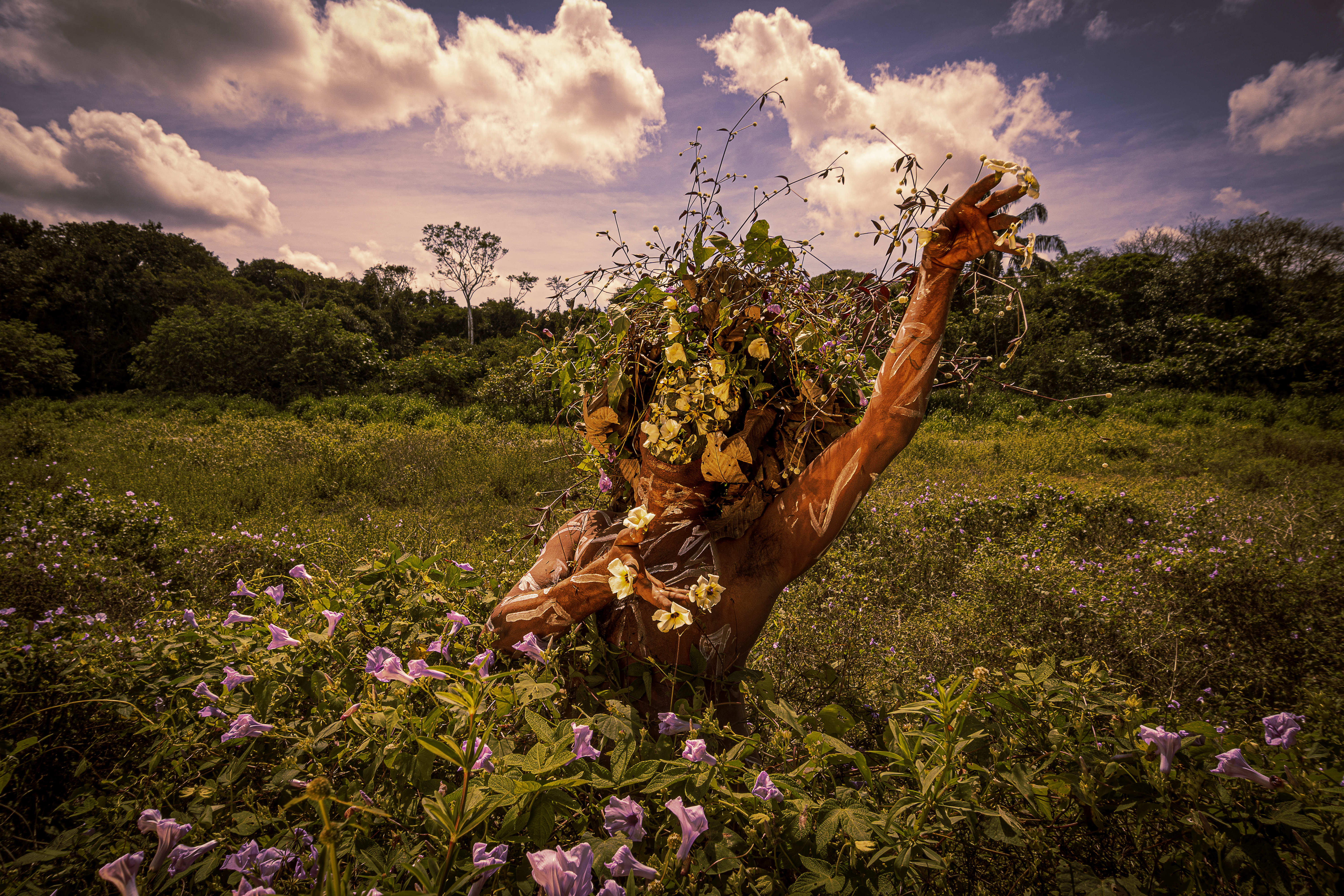 It&#039;s Not Easy Being Green exhibition image, produced by Artichoke
