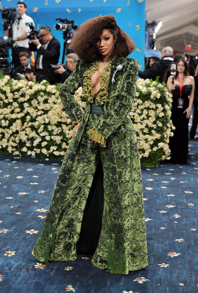 Met Gala 2025 red carpet