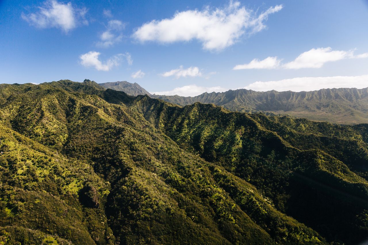 Kauai has a spectacular mountainous landscape, and rich vegetation that earns it the nickname of the Garden Island