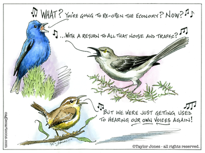 Editorial Cartoon U.S. opening economy birds pollution