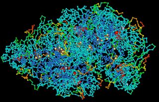 Polypeptide