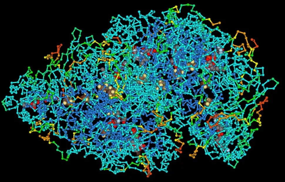 polymer structure