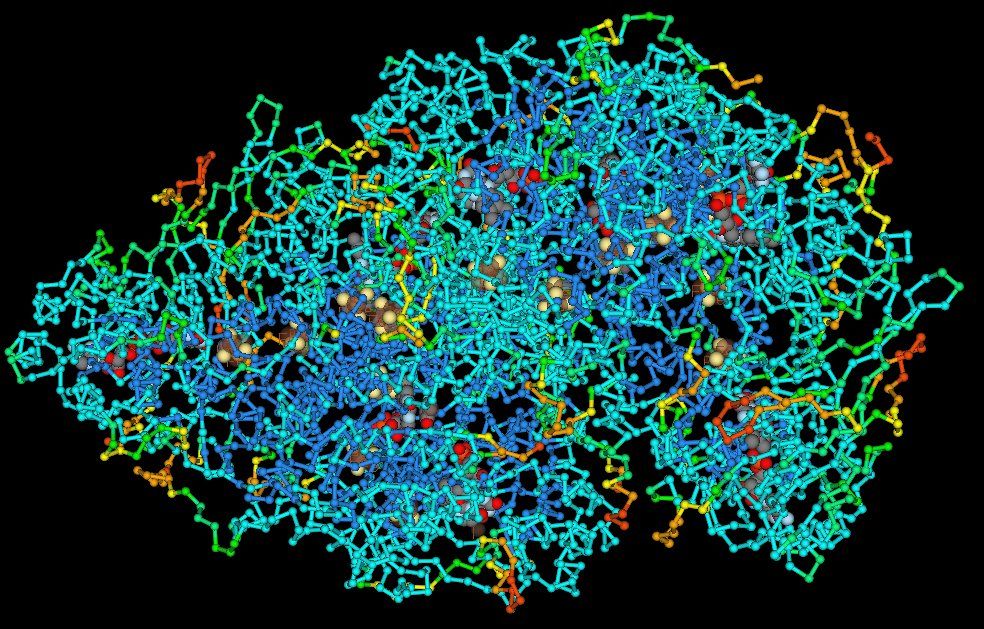 Polypeptide