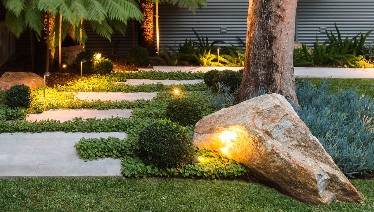 a front yard with dichondria repens as ground cover