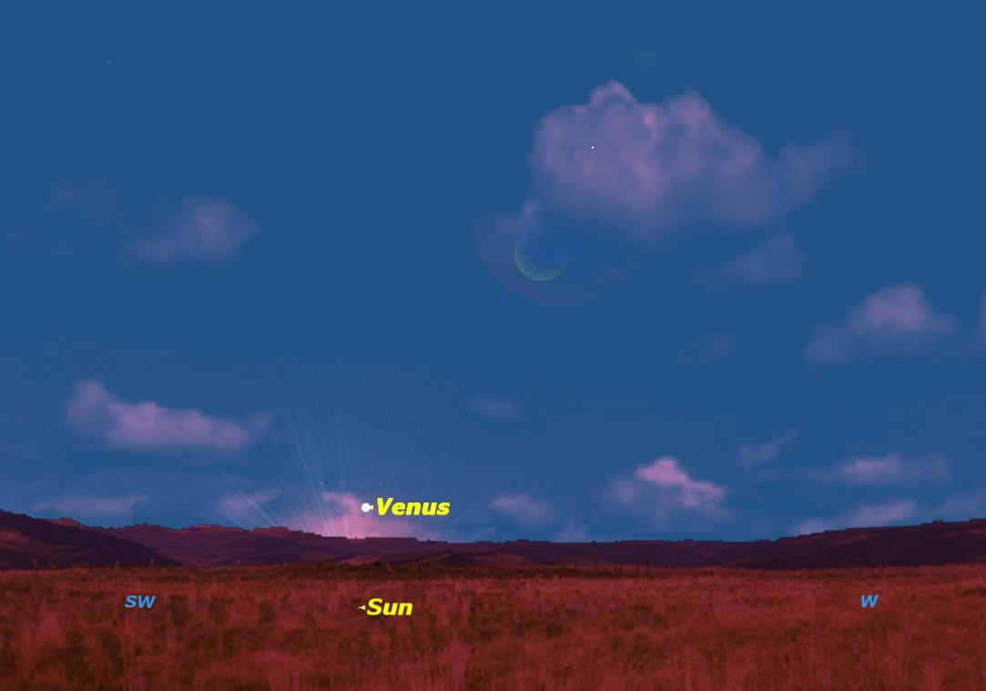 Venus Sky Map Jan. 8, 2014