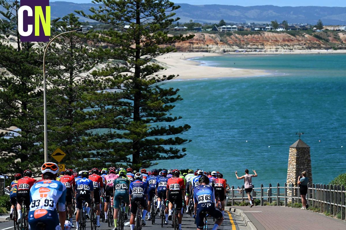 A view of the peloton at the 2024 Tour Down Under