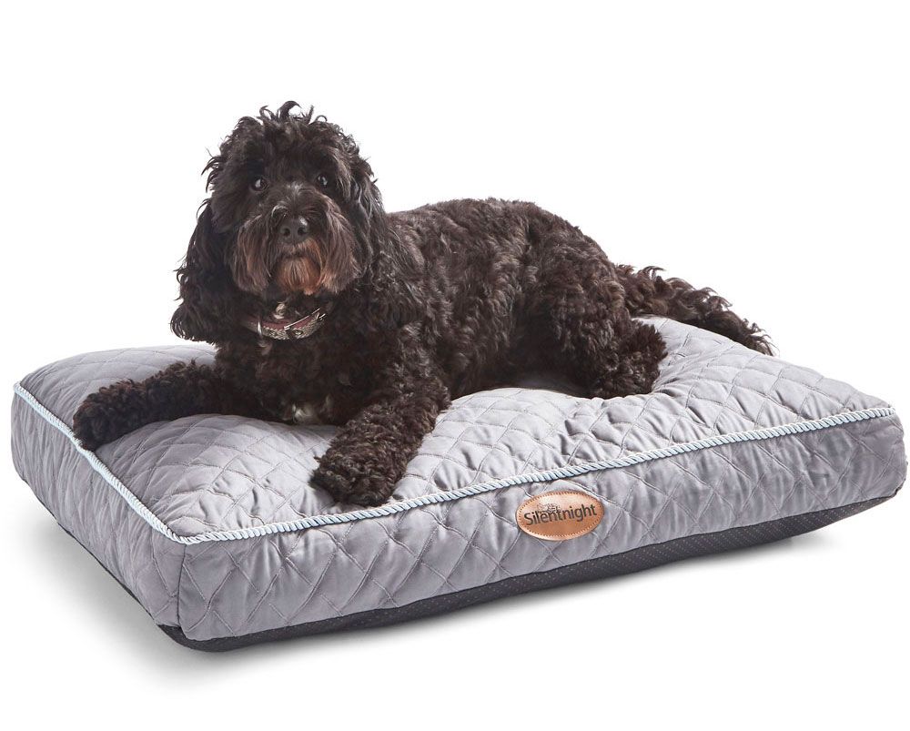 New Silentnight dog bed range includes Orthopaedic beds for older