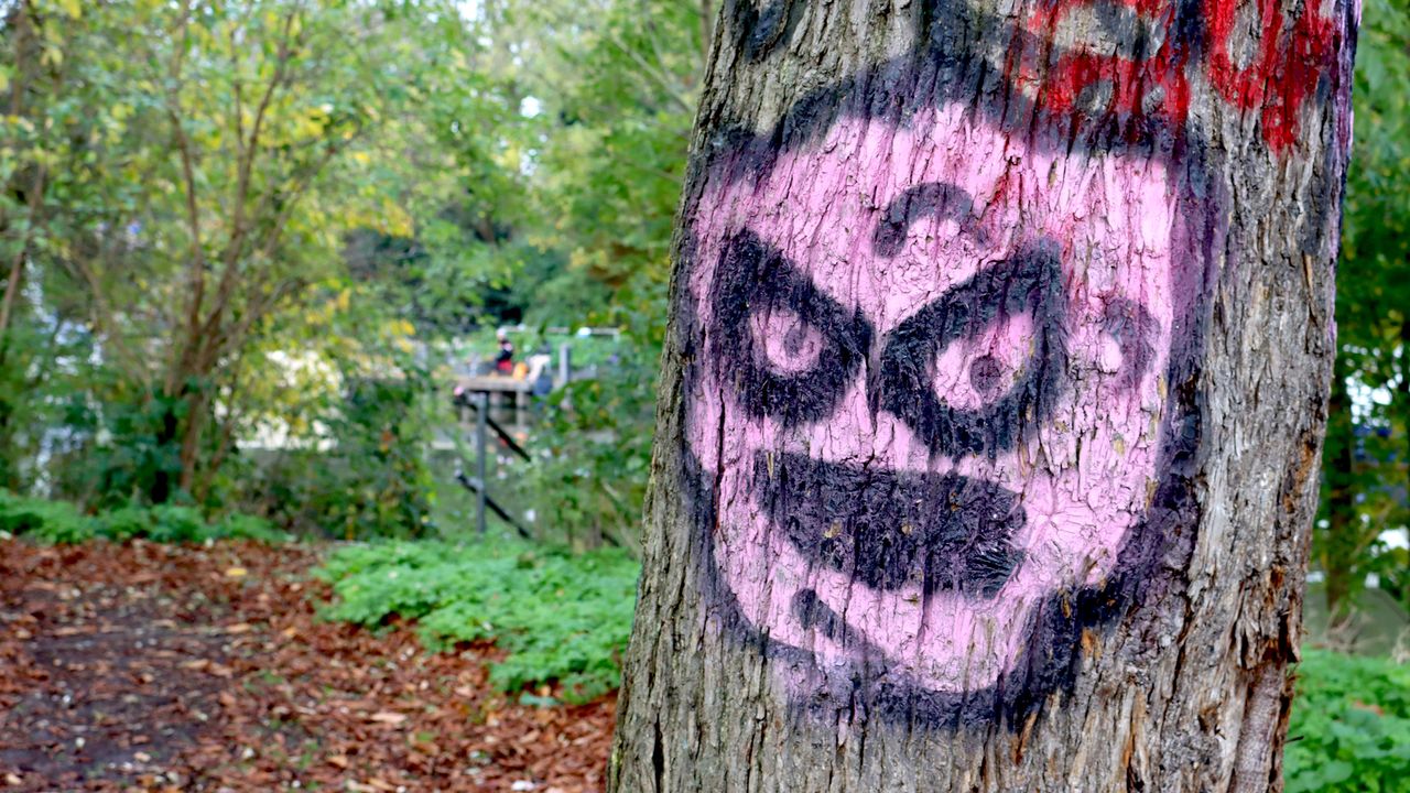 Canon EOS 90D review