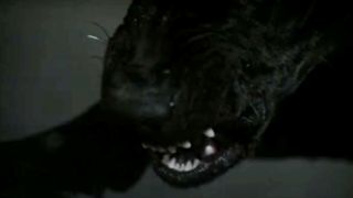 Harry the Dog from The Amityville Horror