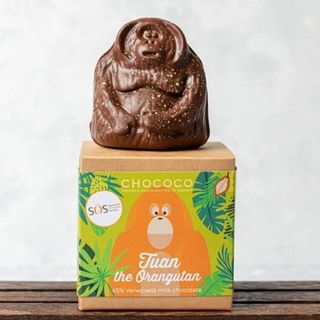 Chocolate Orangutan sat on a box