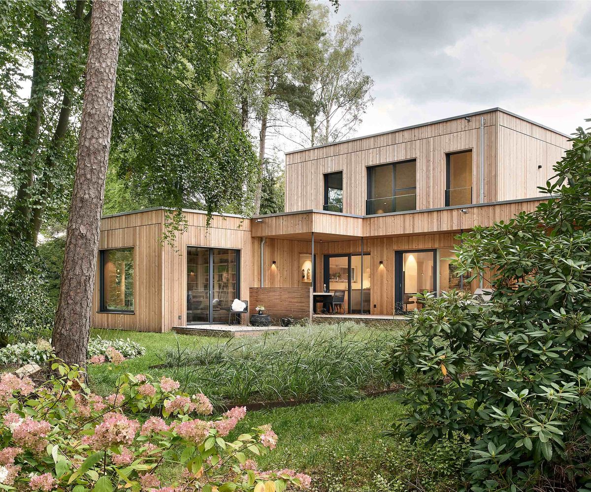 A modern timber-clad self build with multiple flat roofs, set on a woodland plot
