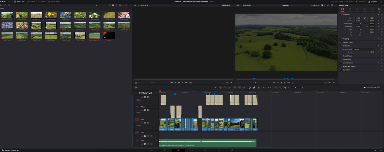 Screenshot from DaVinci Resolve 19