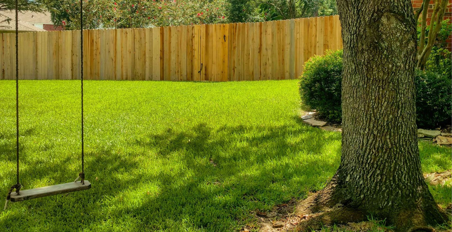 summer lawn with a tire rope swing hanging from a tree