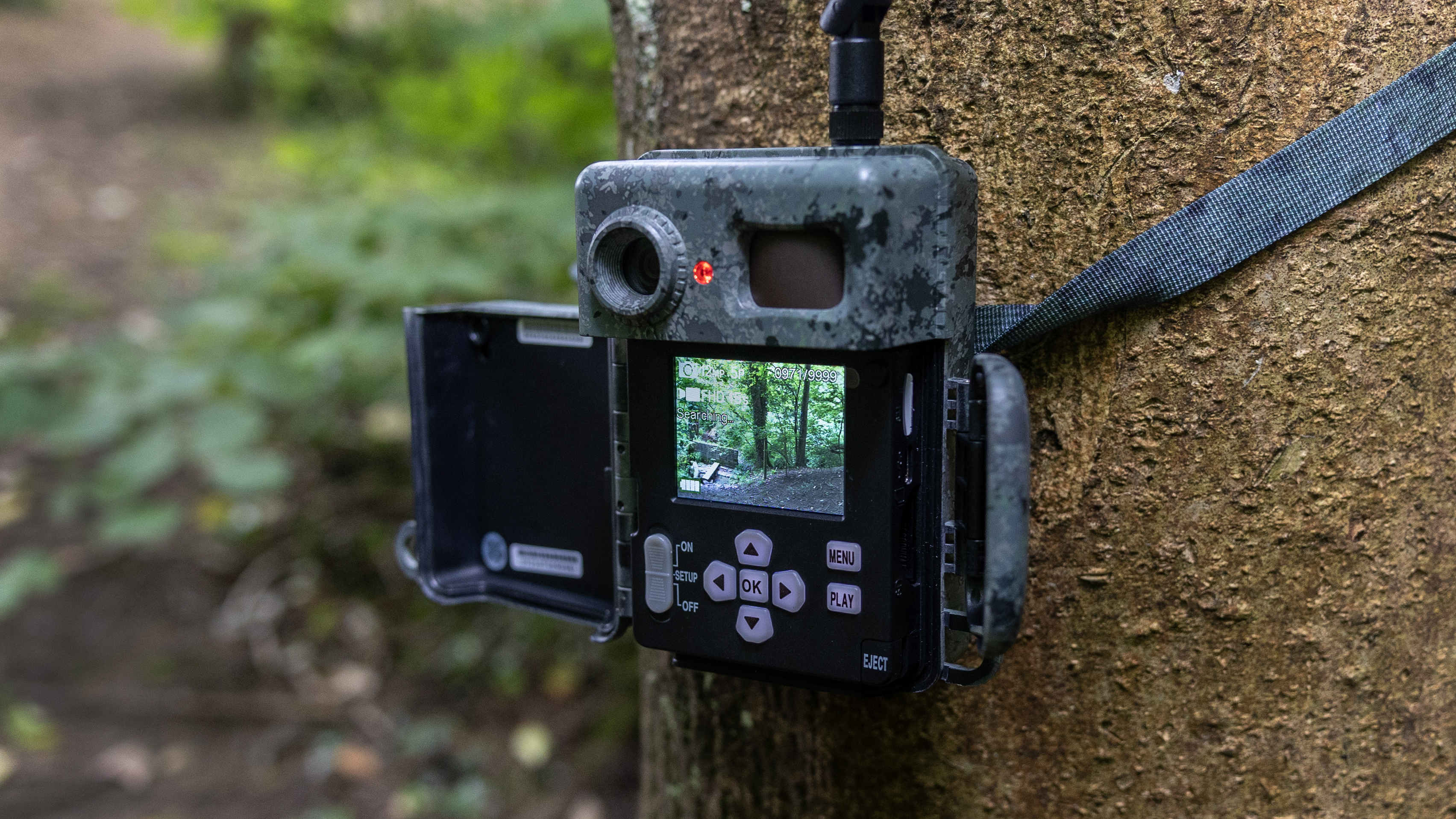 The Zeiss Secacam 7 trail camera attached to a tree
