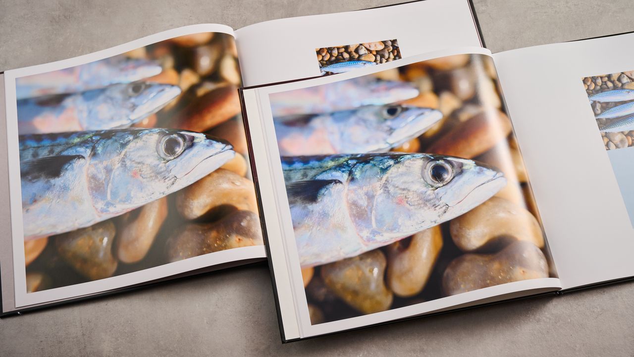 A comparison of two photo books showing pictures of a fish on a stony beach, with the Blurb photo book on the left and the Vistaprint photo book at the right.