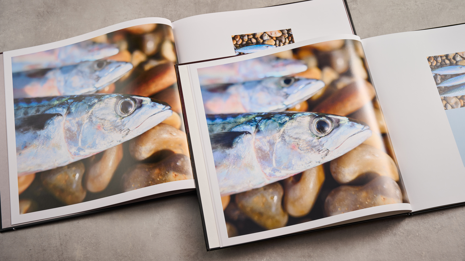 A comparison of two photo books showing pictures of a fish on a stony beach, with the Blurb photo book on the left and the Vistaprint photo book at the right.