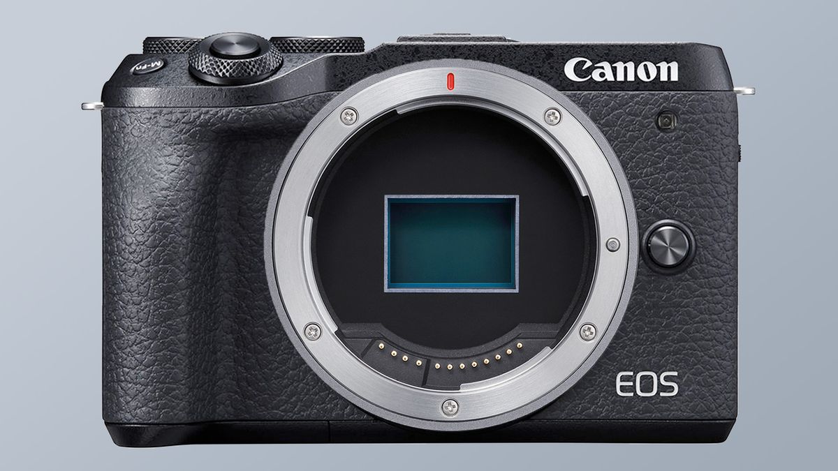 Canon EOS R100: what we want to see