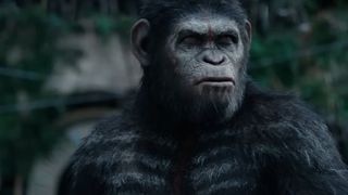 Dawn of the Planet of the Apes