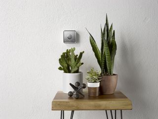 Yves Béhar Hive 2 thermostat with plants on the table.