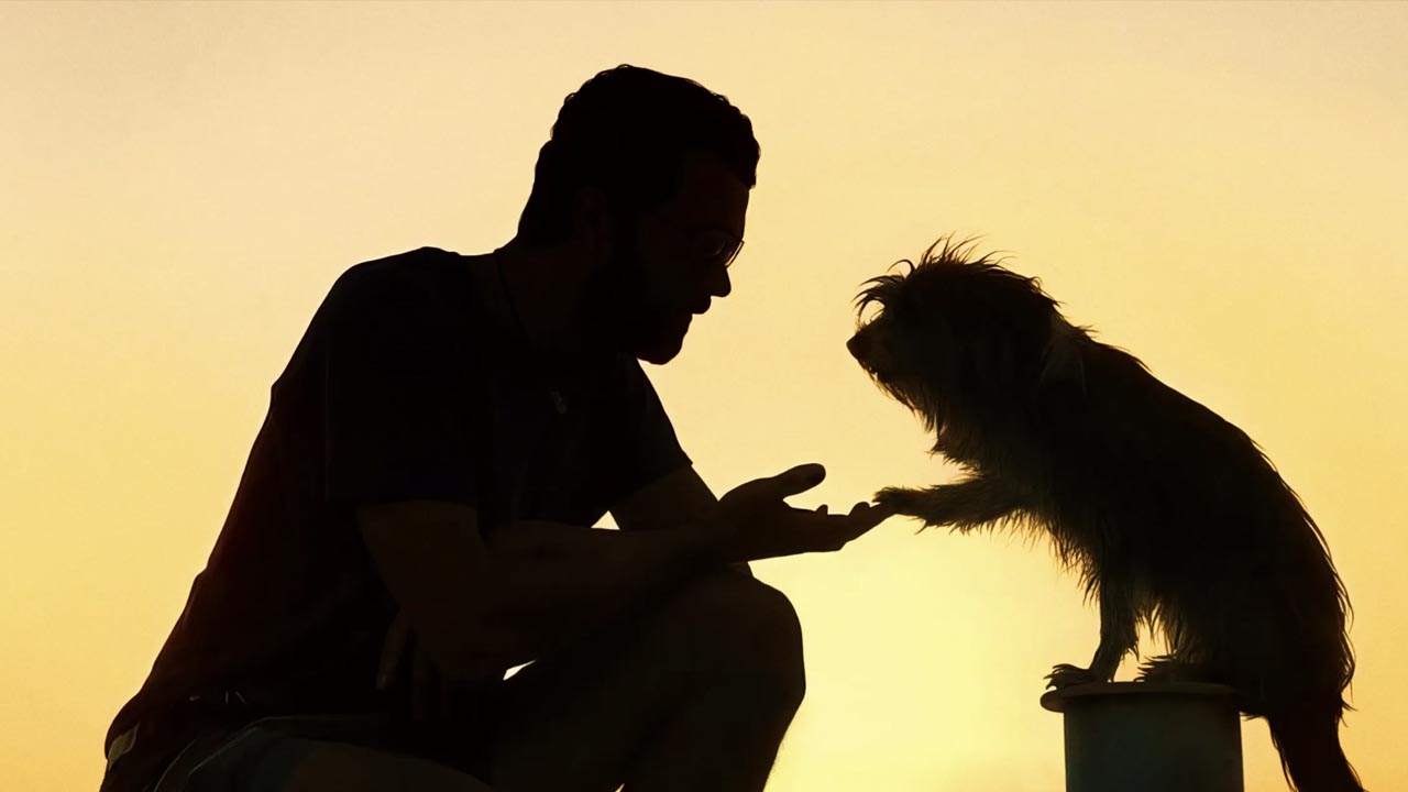 pets-1743414668-4kA6.jpg