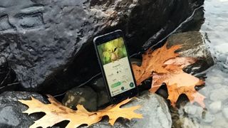iPhone with Pokemon Go on display next to water