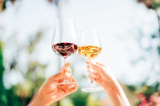 A person with a glass of white wine toasts a person with a glass of red wine on a sunny day outside