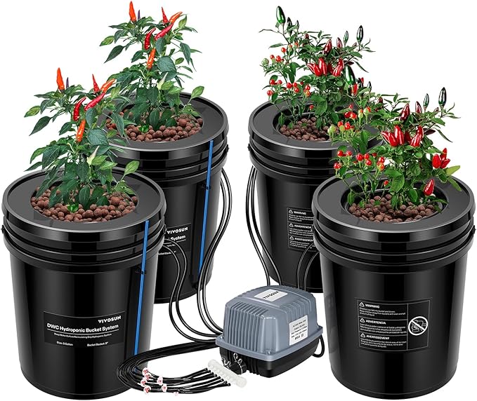 Hydroponic kit growing hot peppers