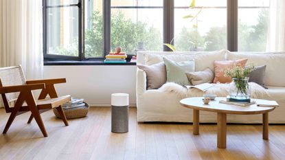 air quality living room with white sofa and an open window