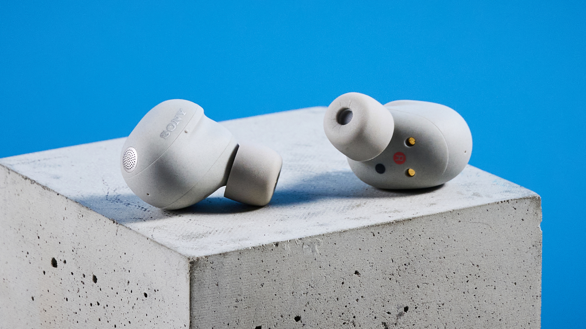 Sony WF-1000XM6 earbuds photographed in front of a blue background