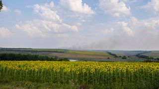 A smoke plume billows on the horizon behind sunflower fields, in the Donbass region on August 11, 2022, amid the Russian invasion of Ukraine. 