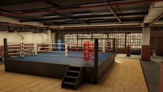 A screenshot from VR game Thrill of the Fight 2