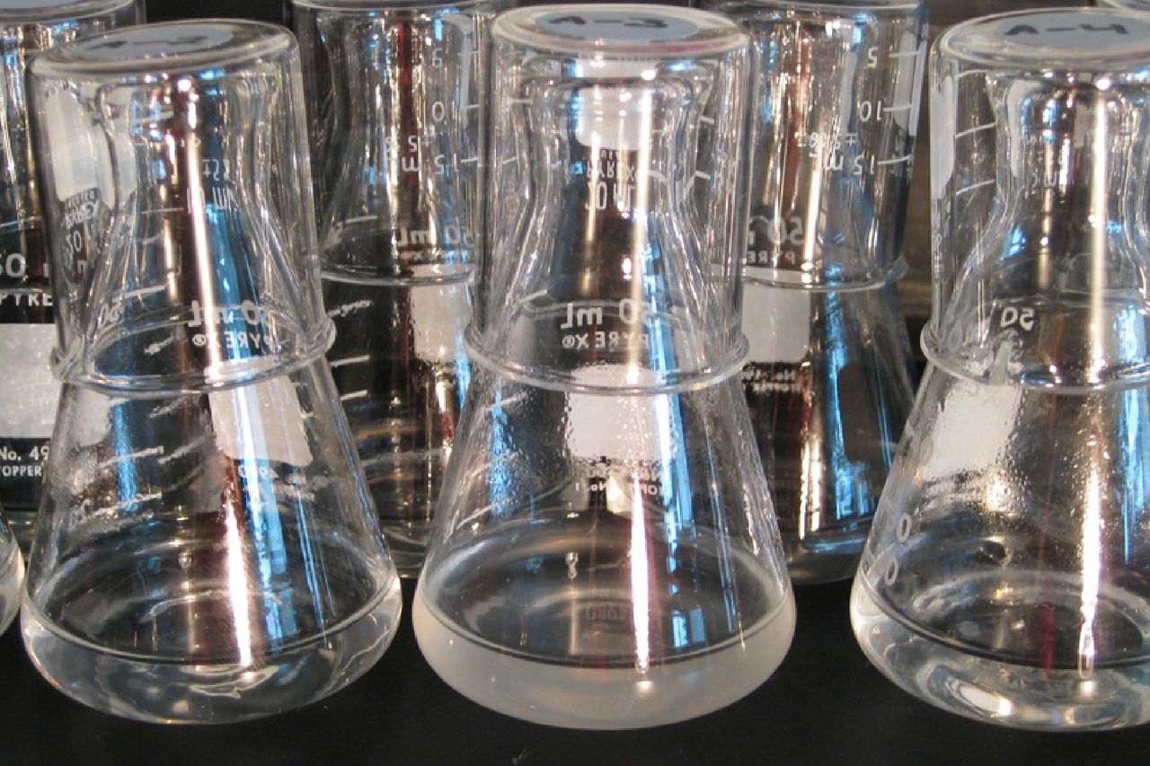 A close-up view showing flasks of growing E. coli populations.