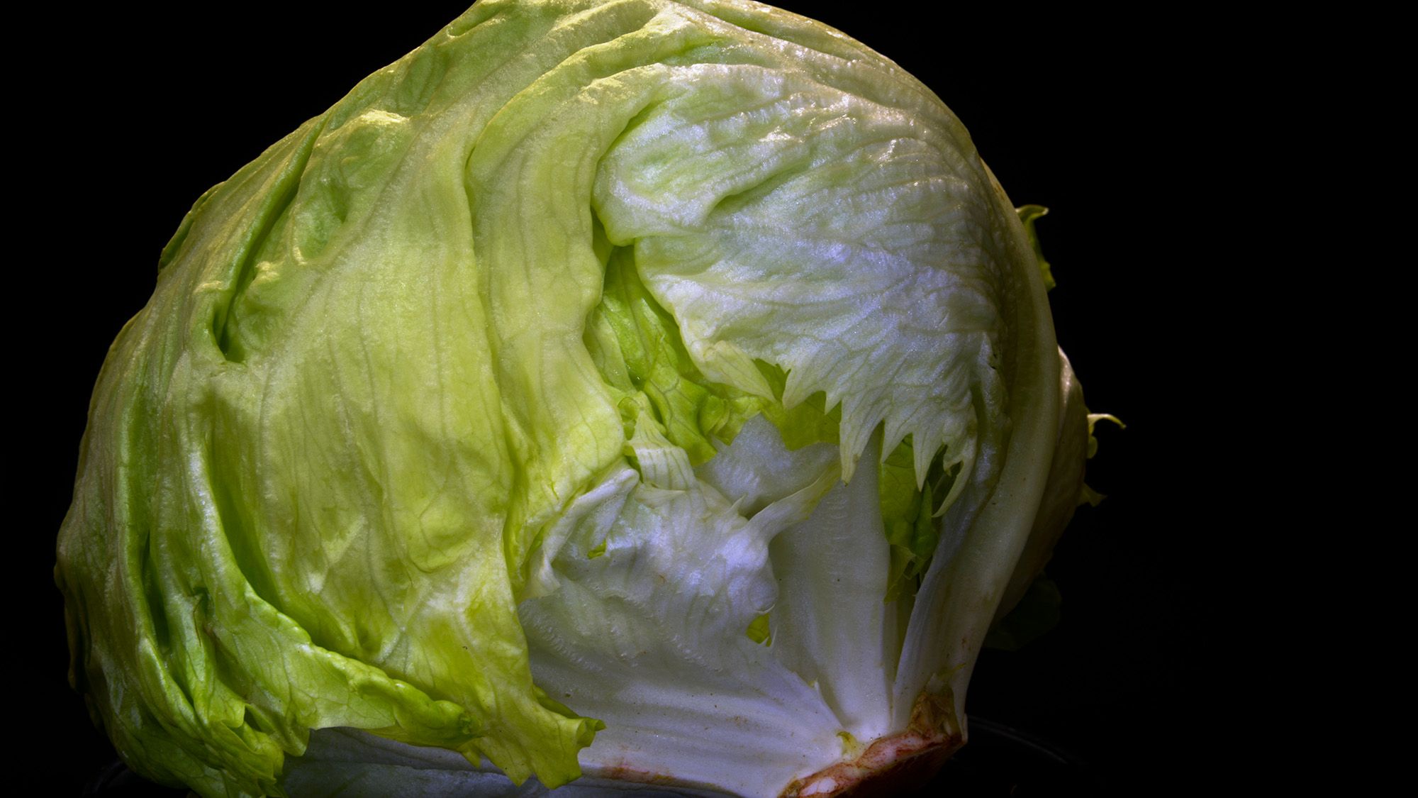 FDA links ‘explosive diarrhea’ parasite infections to Taco Bell shredded lettuce FDA links ‘explosive diarrhea’ parasite infections to Taco Bell shredded lettuce