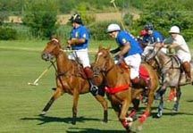 polo21.jpg