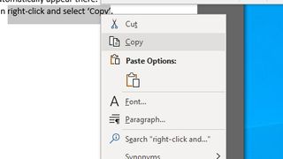 Selecting the 'Copy' option in Microsoft Office