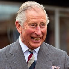 dorchester, united kingdom may 08 prince charles, prince of wales meets residents of the guinness partnership's 250th affordable home in poundbury on may 8, 2015 in dorchester, dorset photo by ben a pruchnie wpa pool getty images