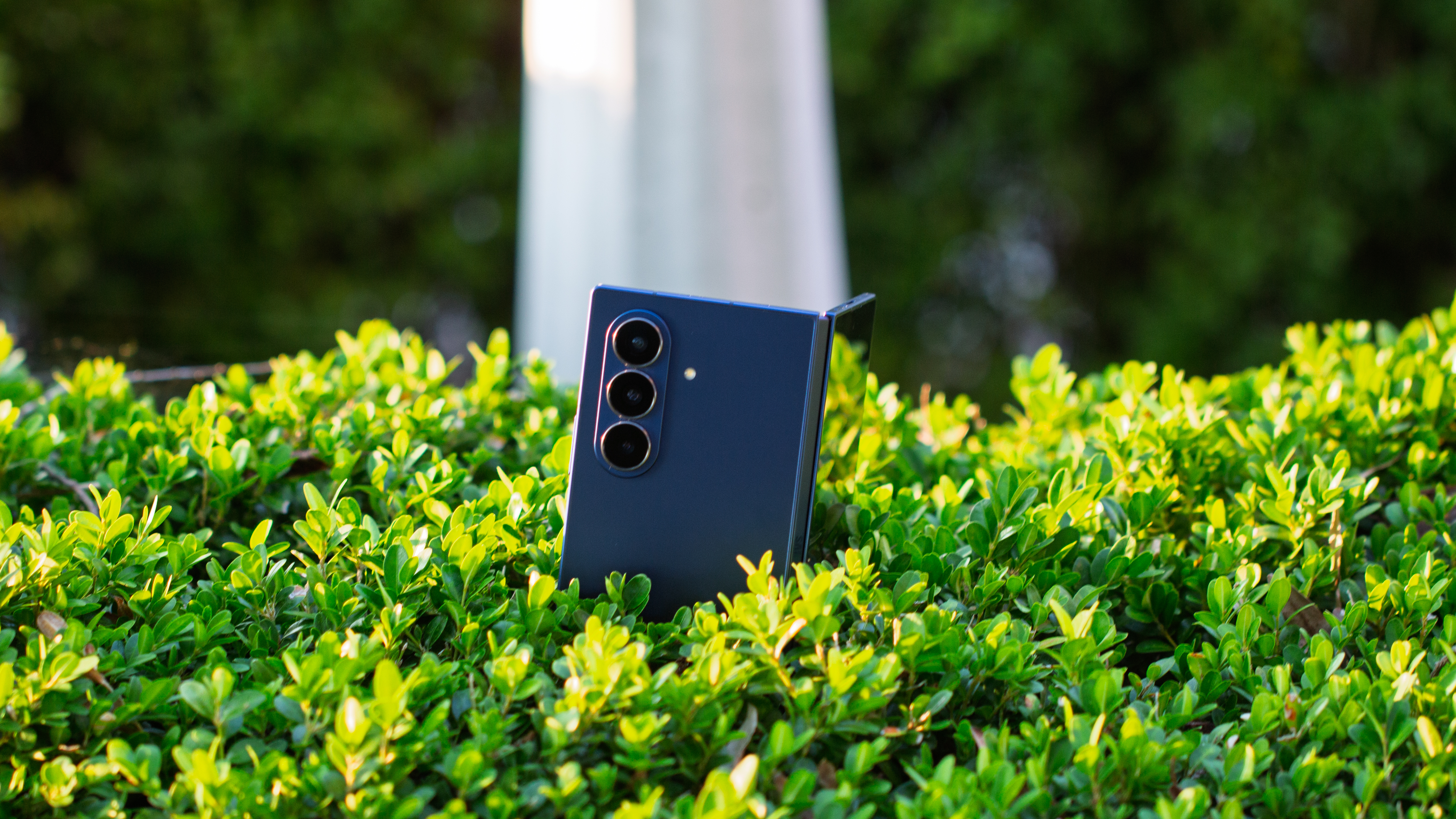 Samsung Galaxy Z Fold 7 sticking up through a bush