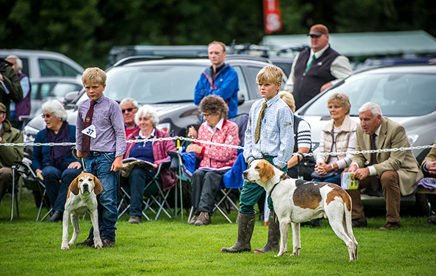 Two young men concentrate on the judging in the young handler class