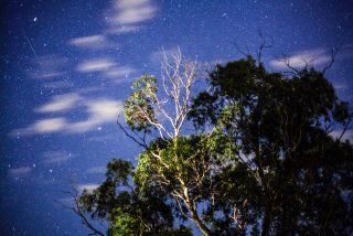 2014 Geminid Meteor Over Melbourne, Australia