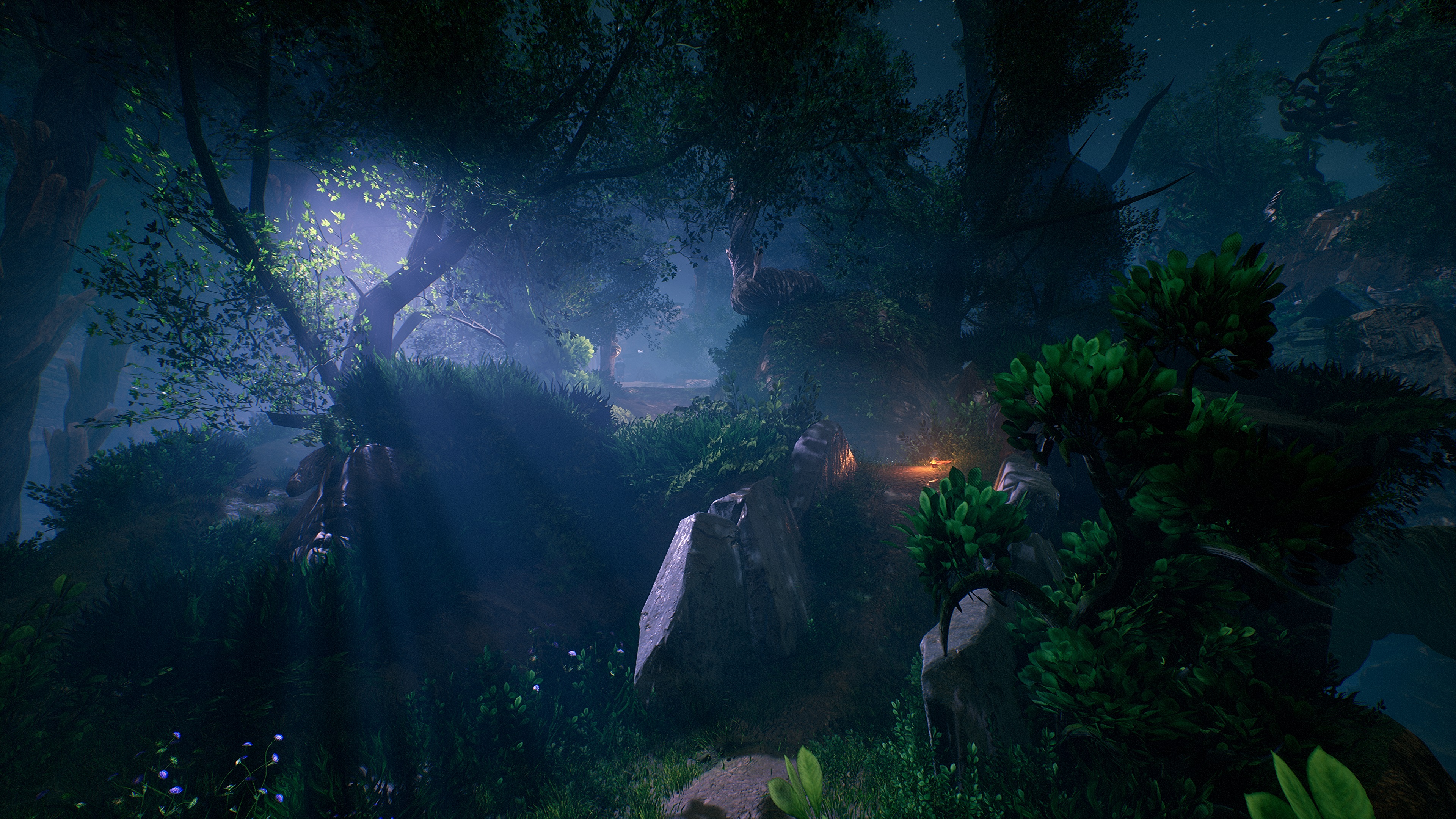 forest floor at night with a lantern in the foreground