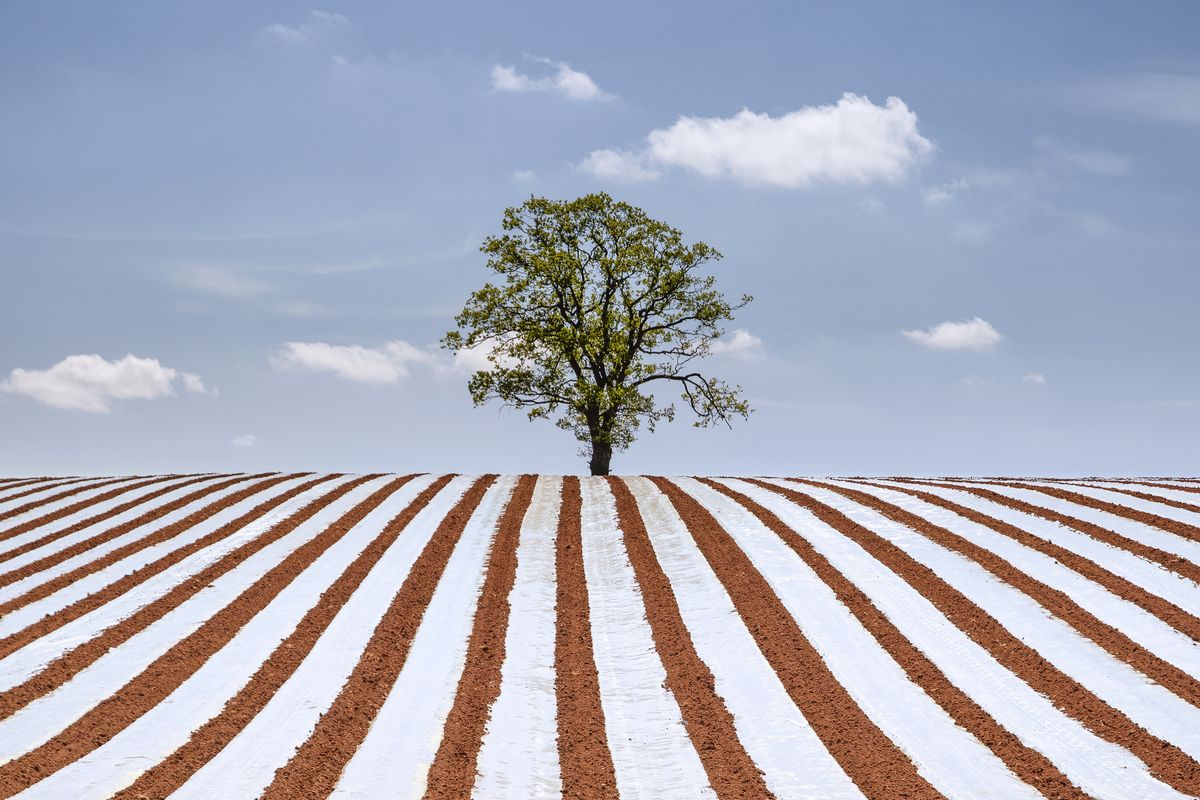 25 000 Landscape Photographer Of The Year Awards Opens For Entries   PPLLQxURxjyddBpa7pxyNg 1200 80 