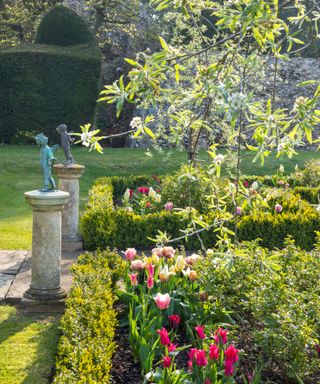 cherubs on plinths beside box parterre planted with tulips and pear blossom trees in spring at Benington Lordship