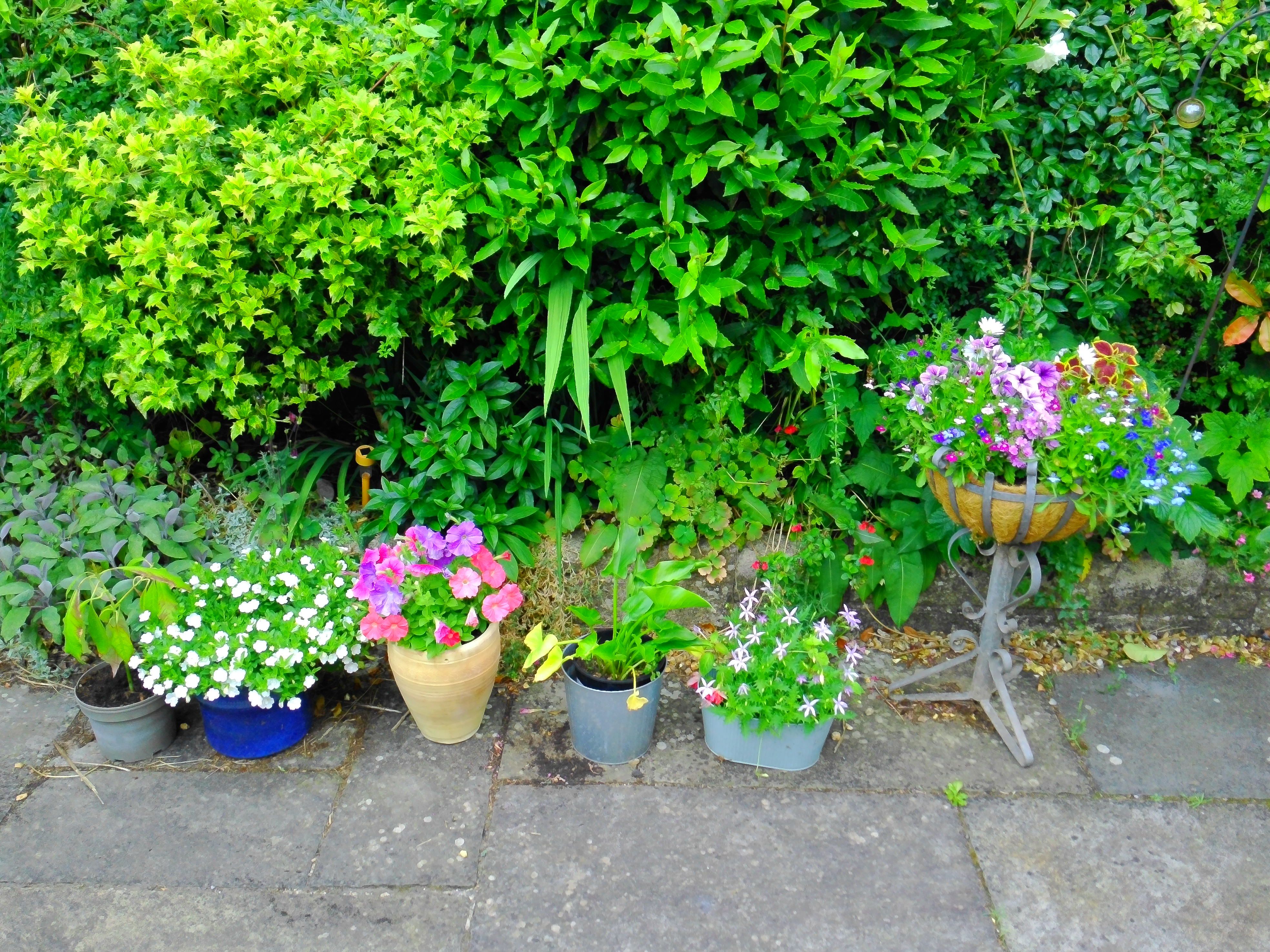 Yashica FX-D 300 example shot - film simulations