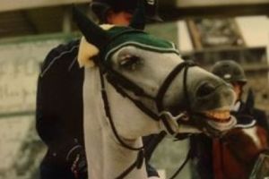 lara-whiteway