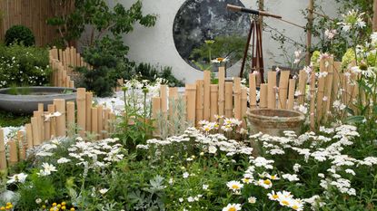 The lunar garden at the RHS Hampton Flower Festival