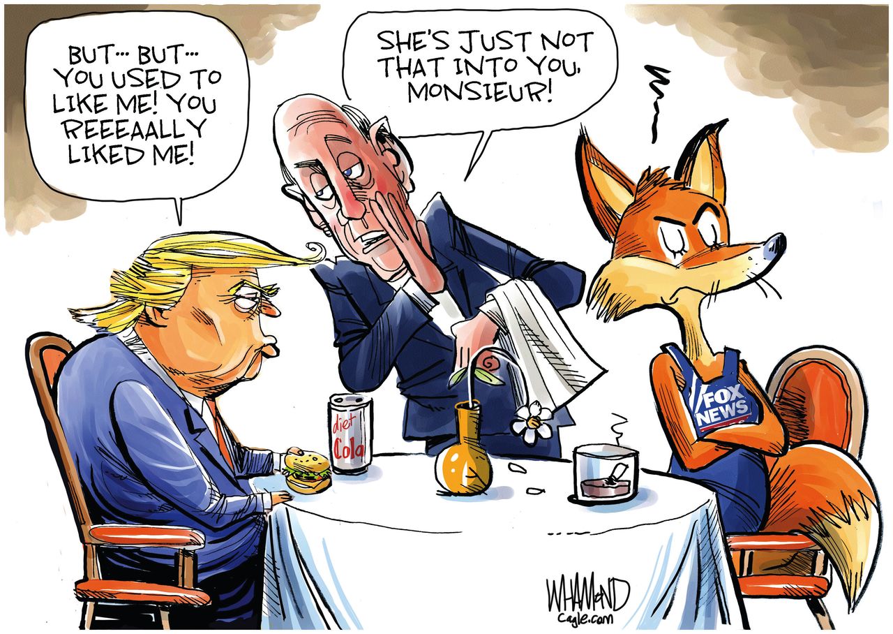 Political Cartoon